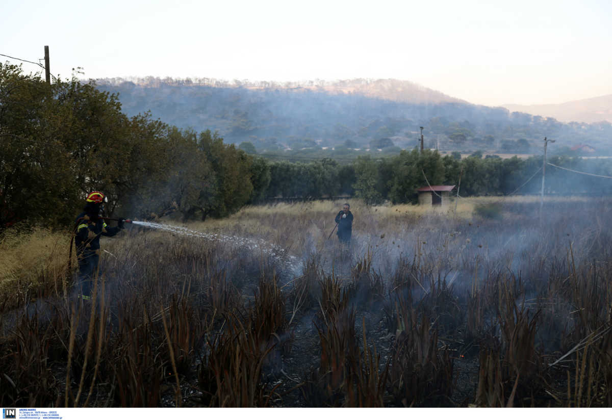 Οριοθετήθηκε η φωτιά στο Νέο Βουτζά