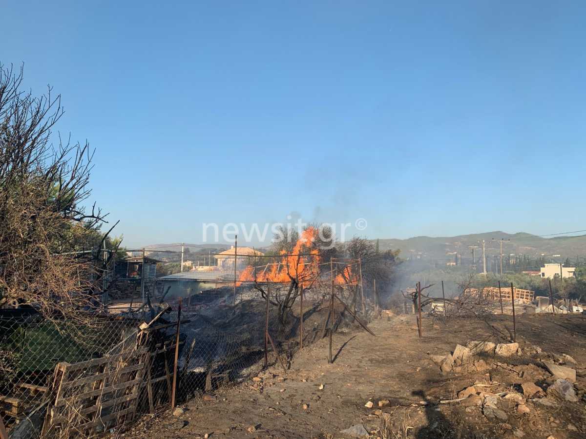 Μαίνεται η φωτιά στην Ανάβυσσο – Έκτακτη σύσκεψη και υποψίες για εμπρησμό (pics, video)