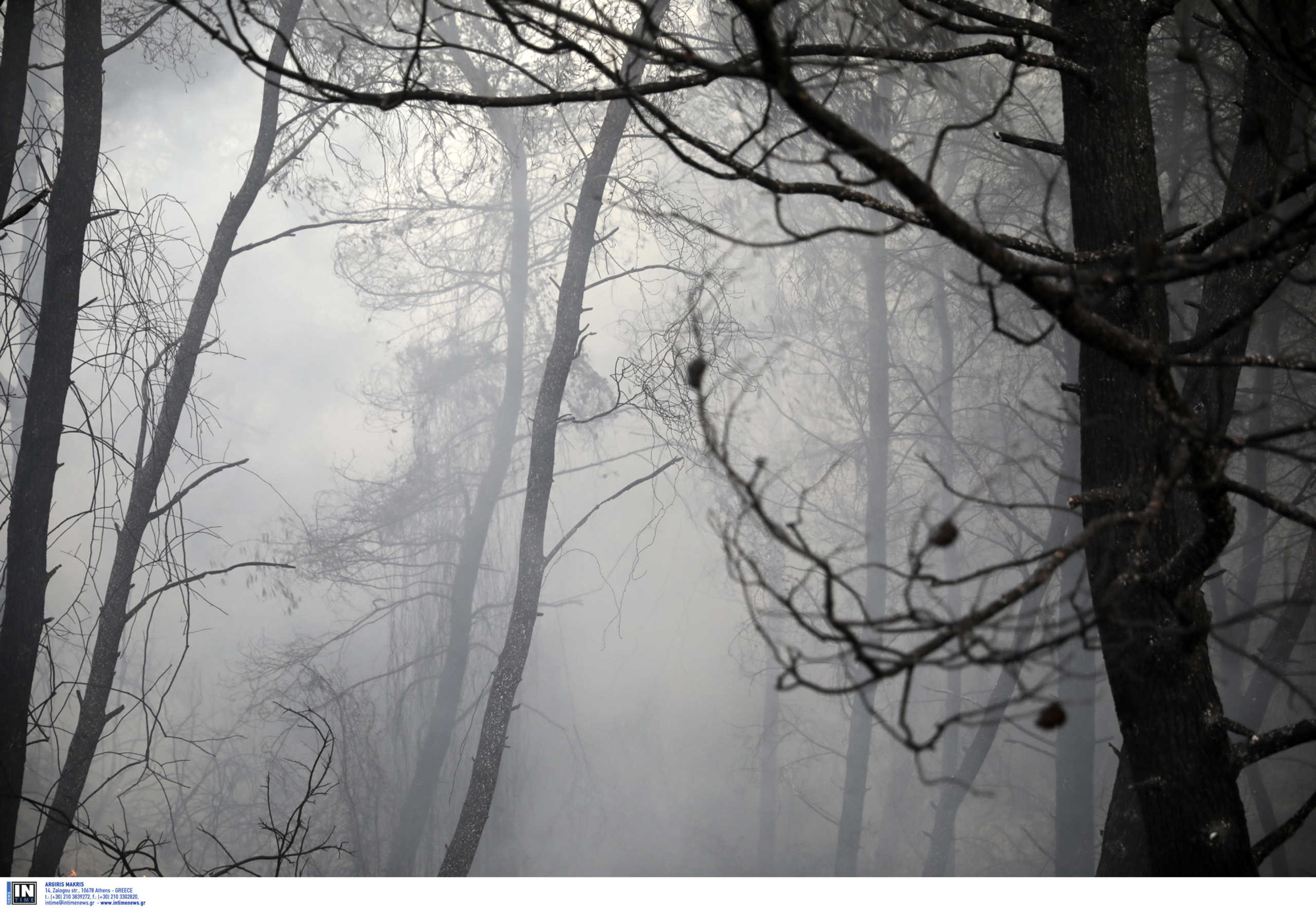 Απαγορεύτηκε η κυκλοφορία στα δάση του Ρεθύμνου για τον κίνδυνο πυρκαγιας