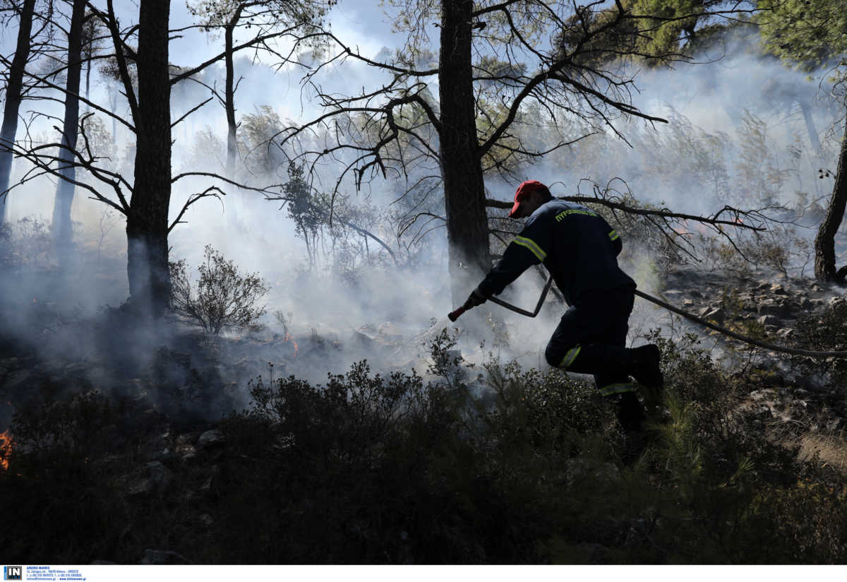 Μαίνεται η φωτιά στη Νέα Μάκρη – Πολύ δύσκολη η κατάσταση λόγω των ισχυρών ανέμων (pics, video)