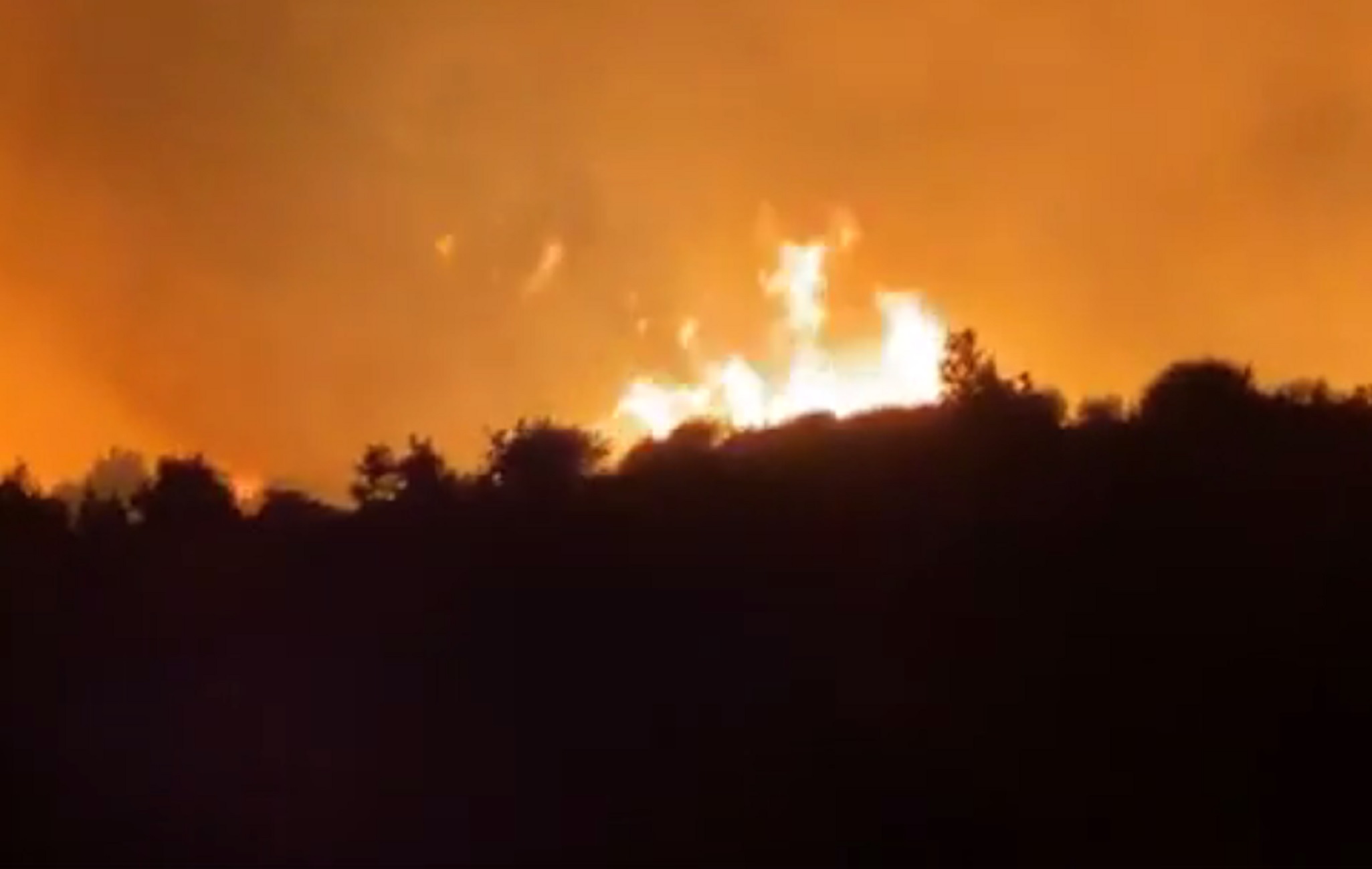 Μεγάλη φωτιά στο δρυμό της Νίψας στον Έβρο (video)