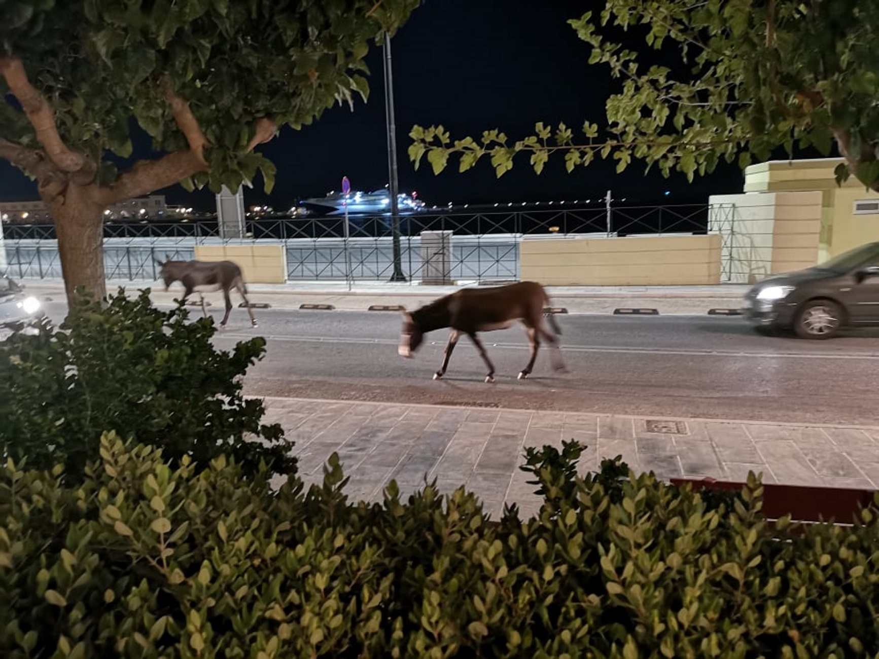 Σύρος: Έπιναν ποτό και έβλεπαν μπροστά τους εικόνες που θα θυμούνται για καιρό (Βίντεο)