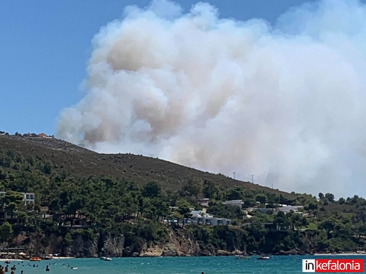 Κεφαλονιά: Φωτιά σε δάσος στα Χελμάτα