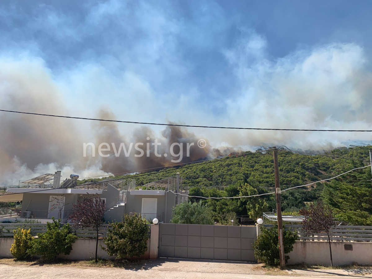 Φωτιά στην Κερατέα: Ελεύθερος ο άνδρας που προσήχθη μετά τις καταγγελίες