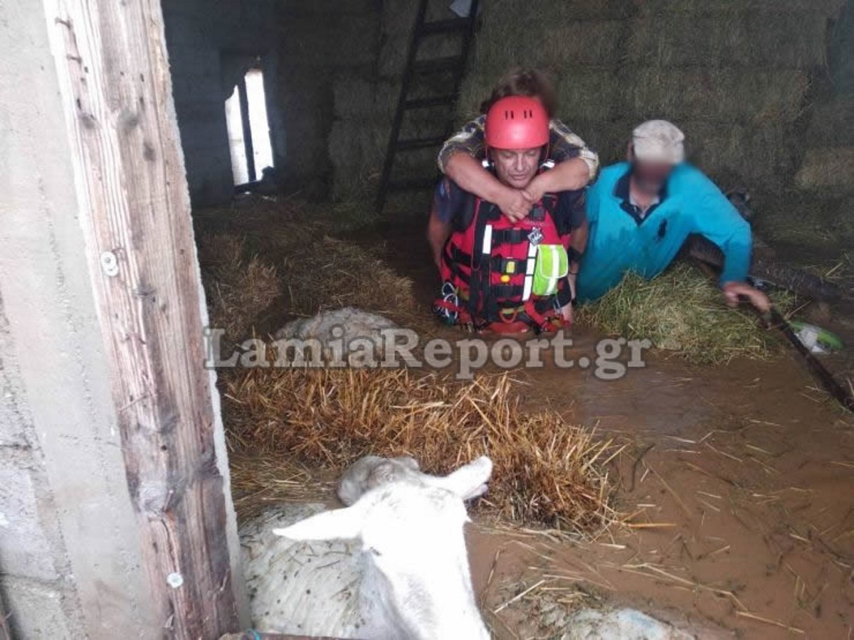 Ανέβηκαν σε μπάλες τριφυλλιού για να σωθούν! Συγκλονιστική διάσωση κτηνοτρόφων στην Καρδίτσα (pics)