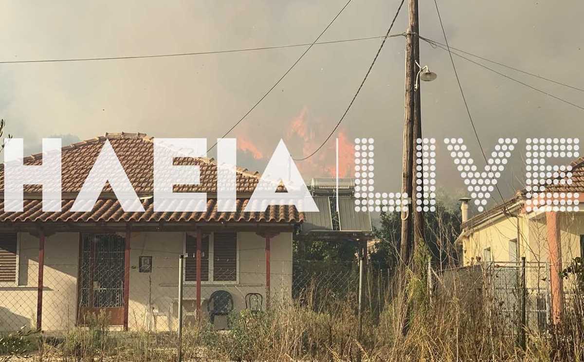 Ηλεία: Έφτασε στα πρώτα σπίτια η φωτιά! Εκκενώνεται το χωριό Δάφνη (video)