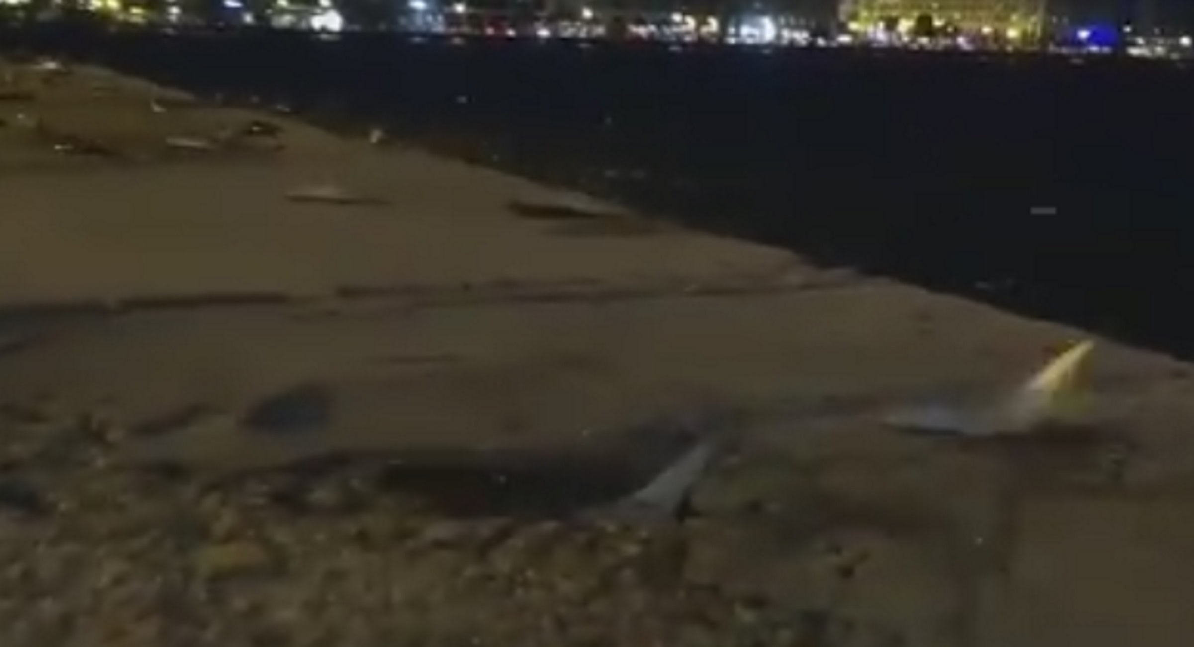 Θεσσαλονίκη: Η στιγμή που εκατοντάδες ψάρια πετάγονται ζωντανά από τη θάλασσα στη στεριά (Βίντεο)