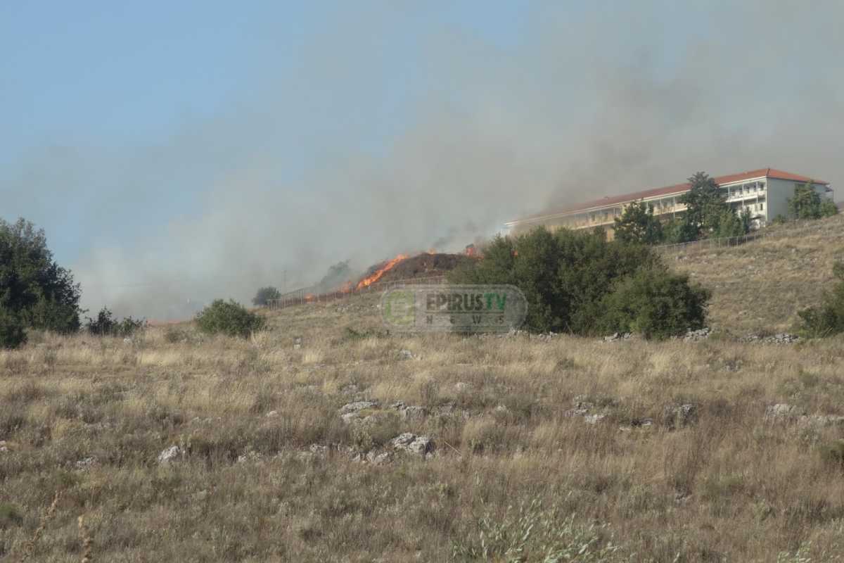 Ήπειρος: Φωτιά δίπλα στο Άσυλο Ανιάτων!