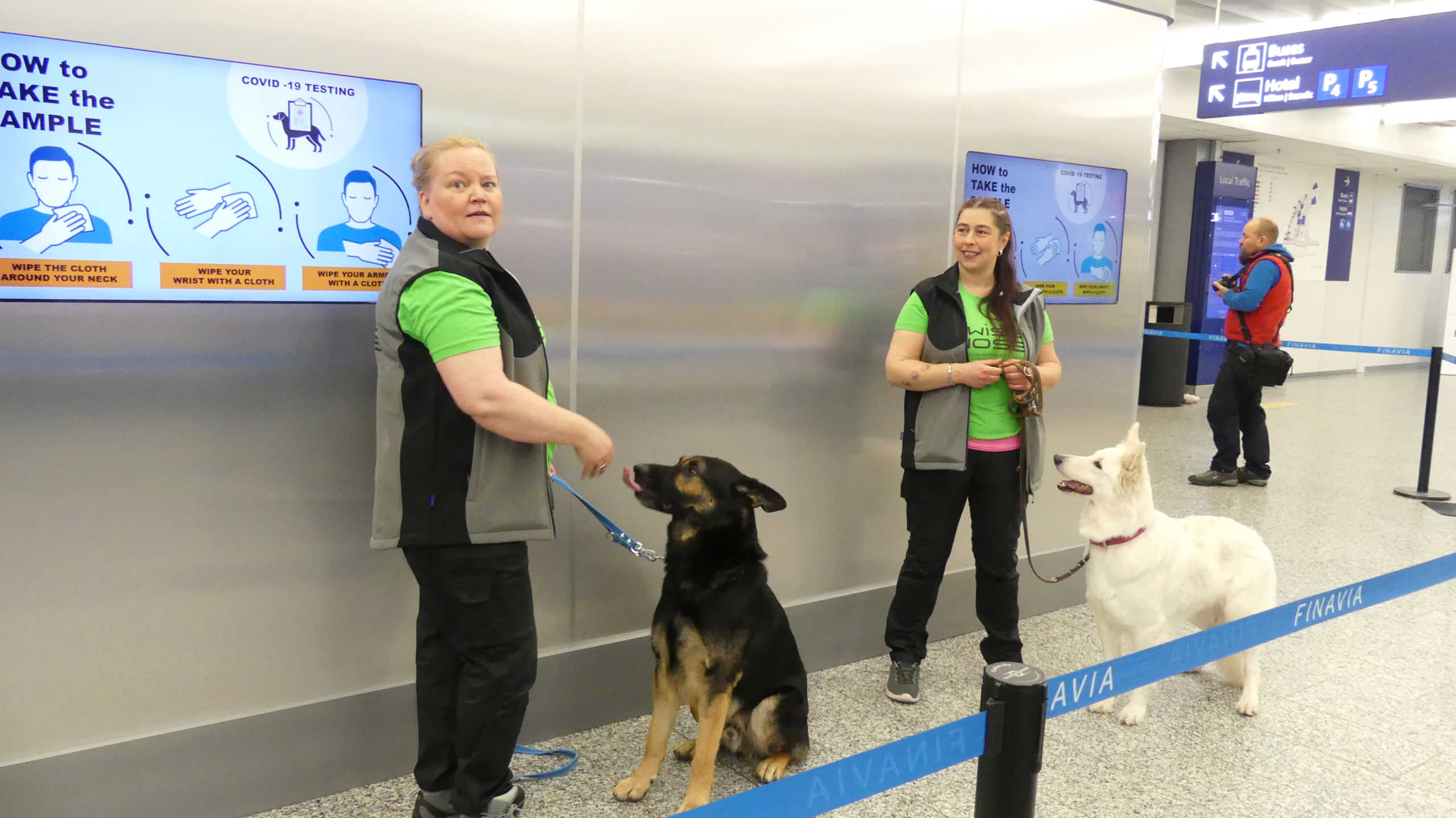 Φινλανδία:  Σκύλοι ανιχνεύουν τον κορονοϊό στο αεροδρόμιο του Ελσίνκι