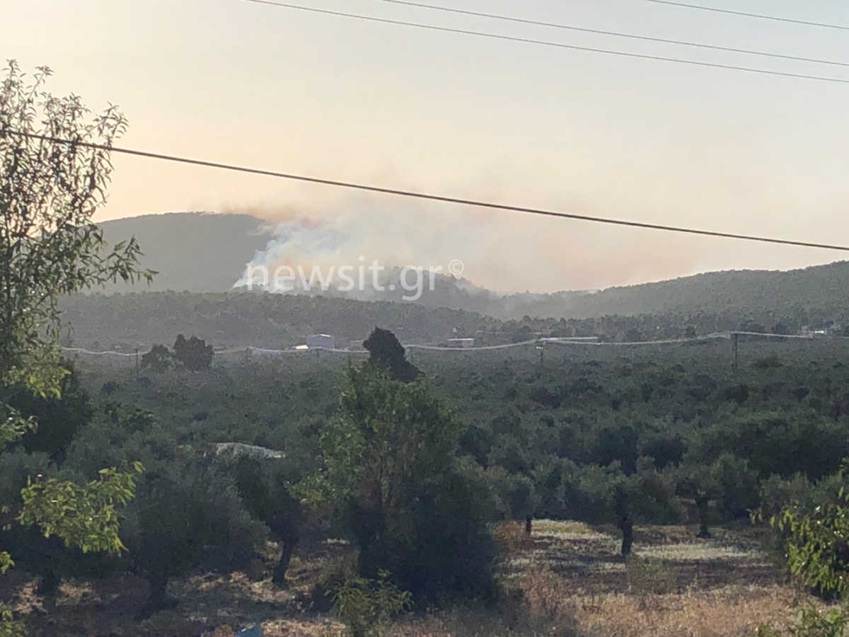 Φωτιά στην Κορινθία: Καίει σε δύσβατη περιοχή – Εκκενώθηκαν οικισμοί και μοναστήρι