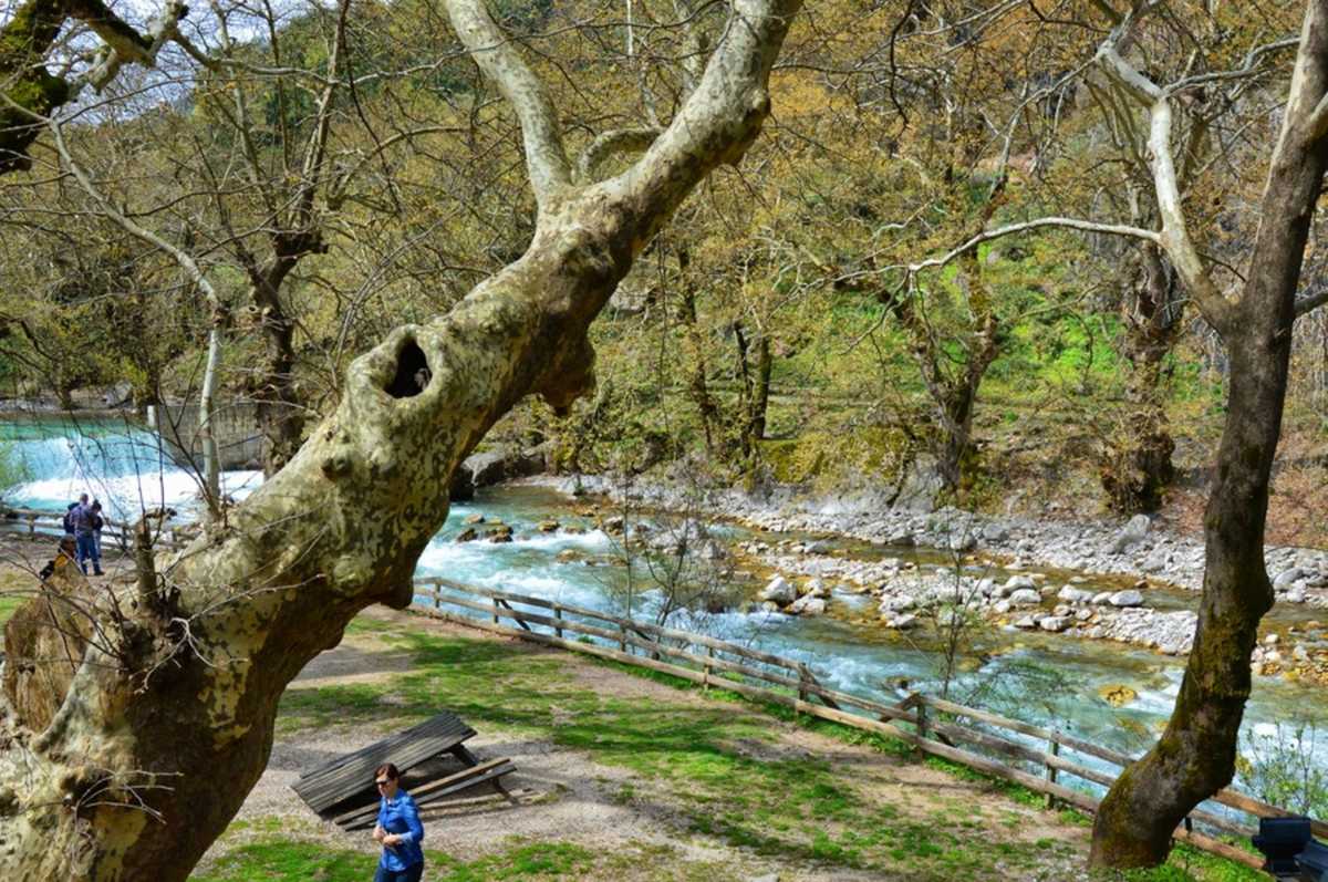 Πύλη για την ορεινή περιοχή των Τρικάλων εδώ και αιώνες και ένα από τα αξιοθέατα της περιοχής, Μεγάλη Τετάρτη 4 Απριλίου 2018. Εδώ υπήρχε η βυζαντινή πόλη «Μεγάλαι Πύλαι» με το σπουδαίο μοναστήρι της «Πόρτα Παναγιάς». Πάνω σε αυτό το στενό πέρασμα απλώνεται ο σημερινός οικισμός της Πύλης, κύριο εμπορικό-διαμετακομιστικό κέντρο για ολόκληρη την περιοχή. Εδώ στέκει μέχρι σήμερα ακλόνητο και αγέρωχο το ονομαστό πέτρινο τοξωτό γεφύρι του 1514 από τον Άγιο Βησσαρίωνα. ΑΠΕ-ΜΠΕ