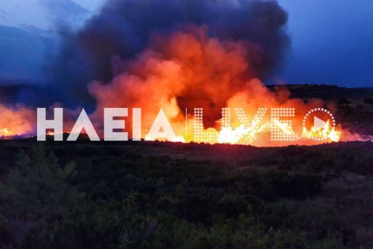Φωτιά σε δασική έκταση στην Ηλεία