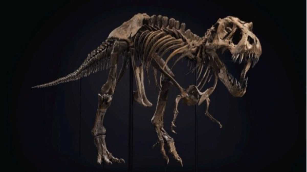 Στο “σφυρί” ο σκελετός ενός T-Rex
