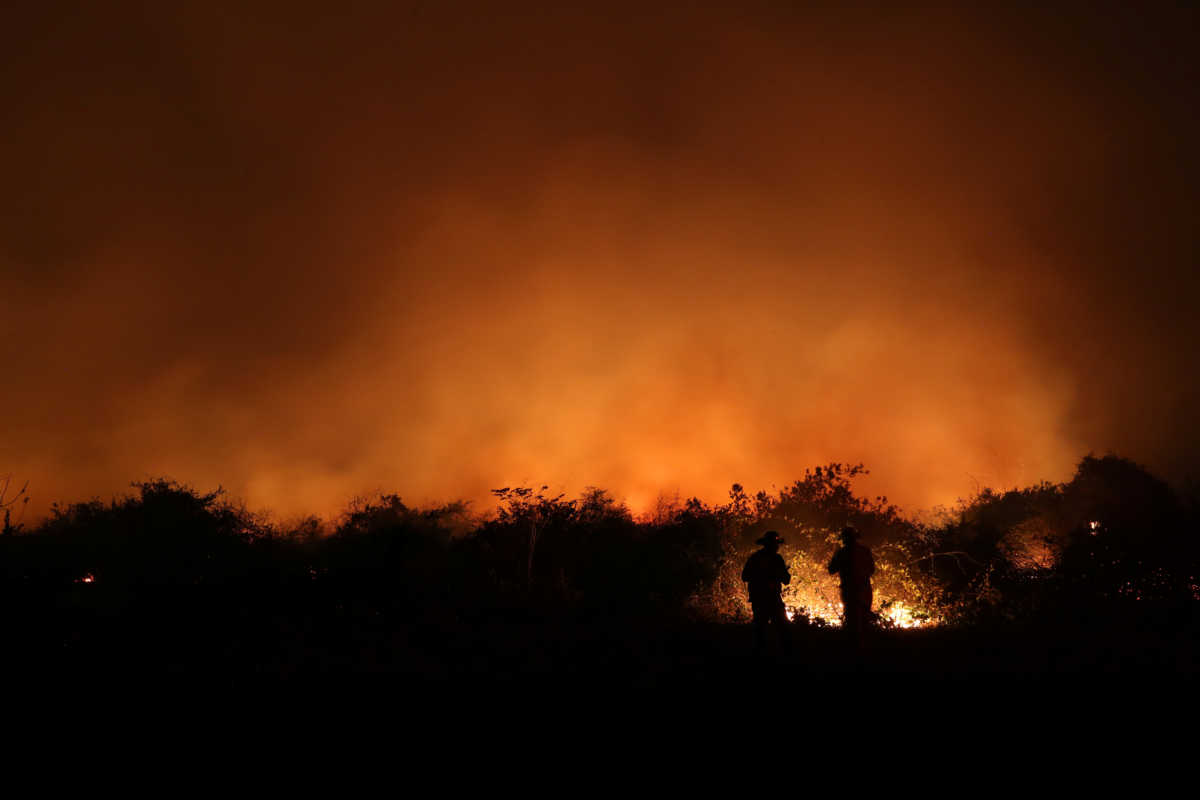 Βραζιλία: «Στάχτη» το δάσος της Αμαζονίας – Οι χειρότερες πυρκαγιές των τελευταίων δέκα χρόνων