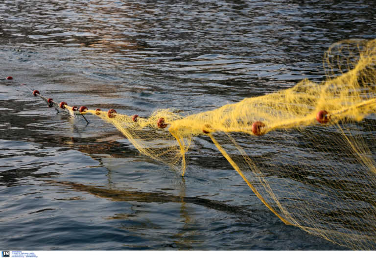 Βόλος: Νέα στοιχεία πίσω από τον ψαρά που ξαναπέταξε στη θάλασσα το πτώμα του ψαροντουφεκά