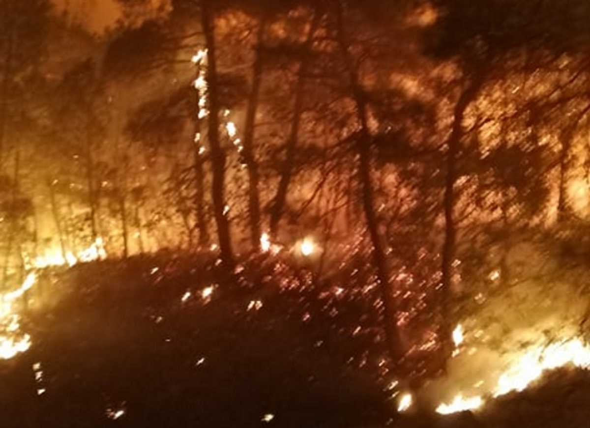 Δύσκολη νύχτα στο Σουφλί: Μεγάλη φωτιά σε δάσος (video)