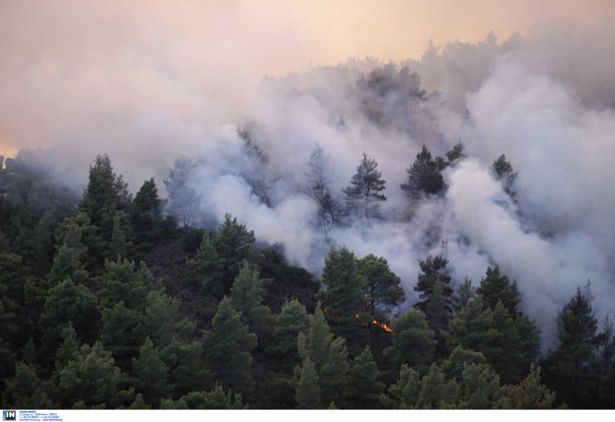 Φωτιά στην Εύβοια: Στις φλόγες δάσος στο χωριό Μίστρος