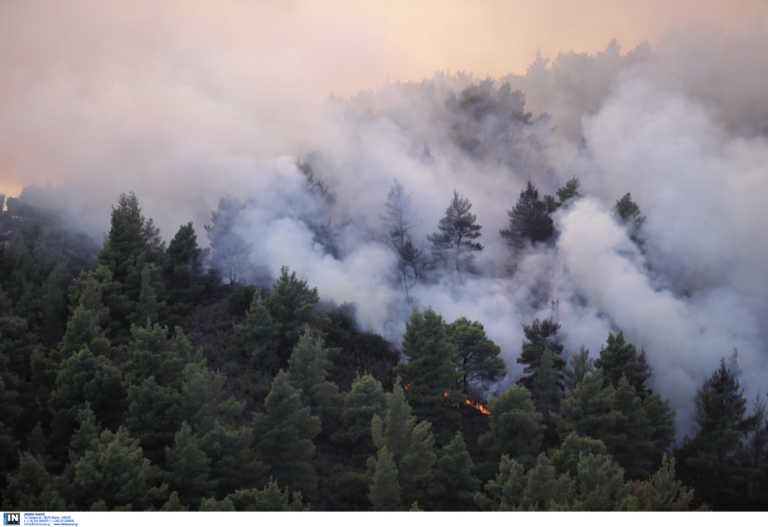 Καίγεται πευκοδάσος στο Μεσόβουνο Πτολεμαΐδας - Η φωτιά ξέσπασε από κεραυνό