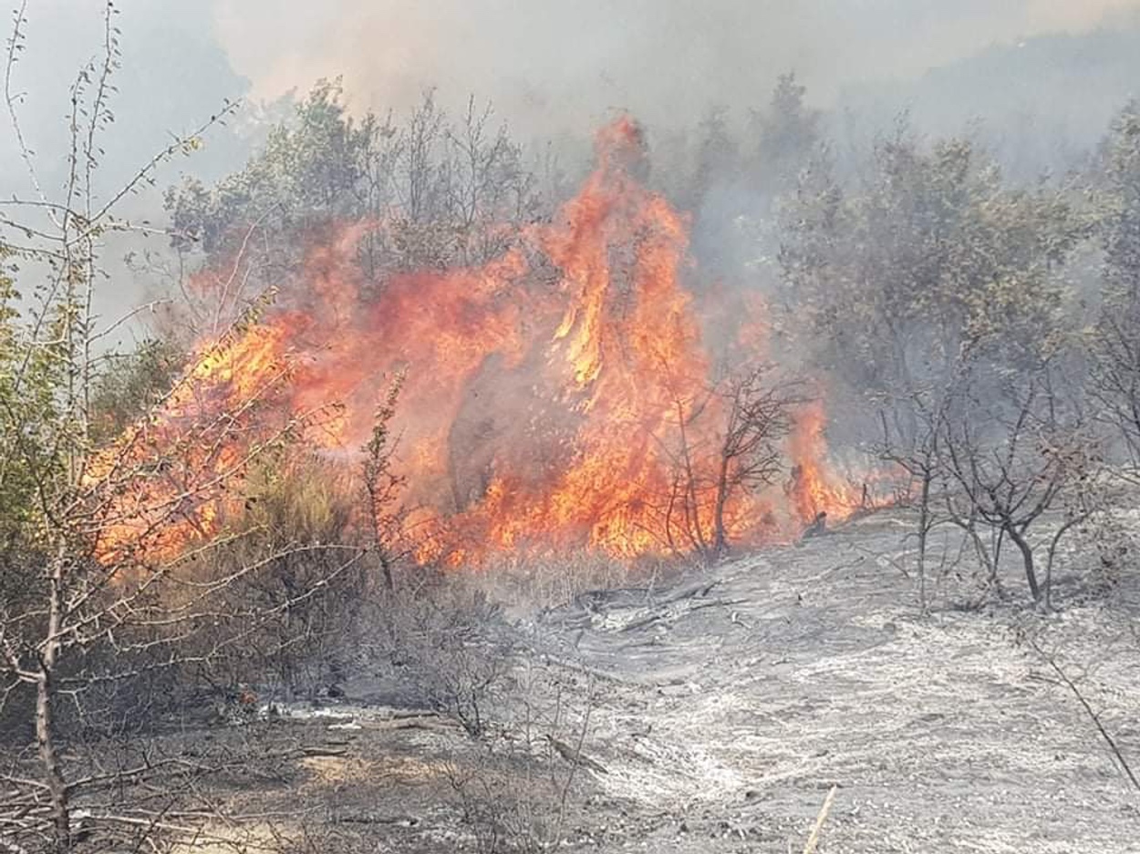 Έβρος: Μάχη με τις φλόγες και από τον αέρα – Συγκλονιστικές εικόνες