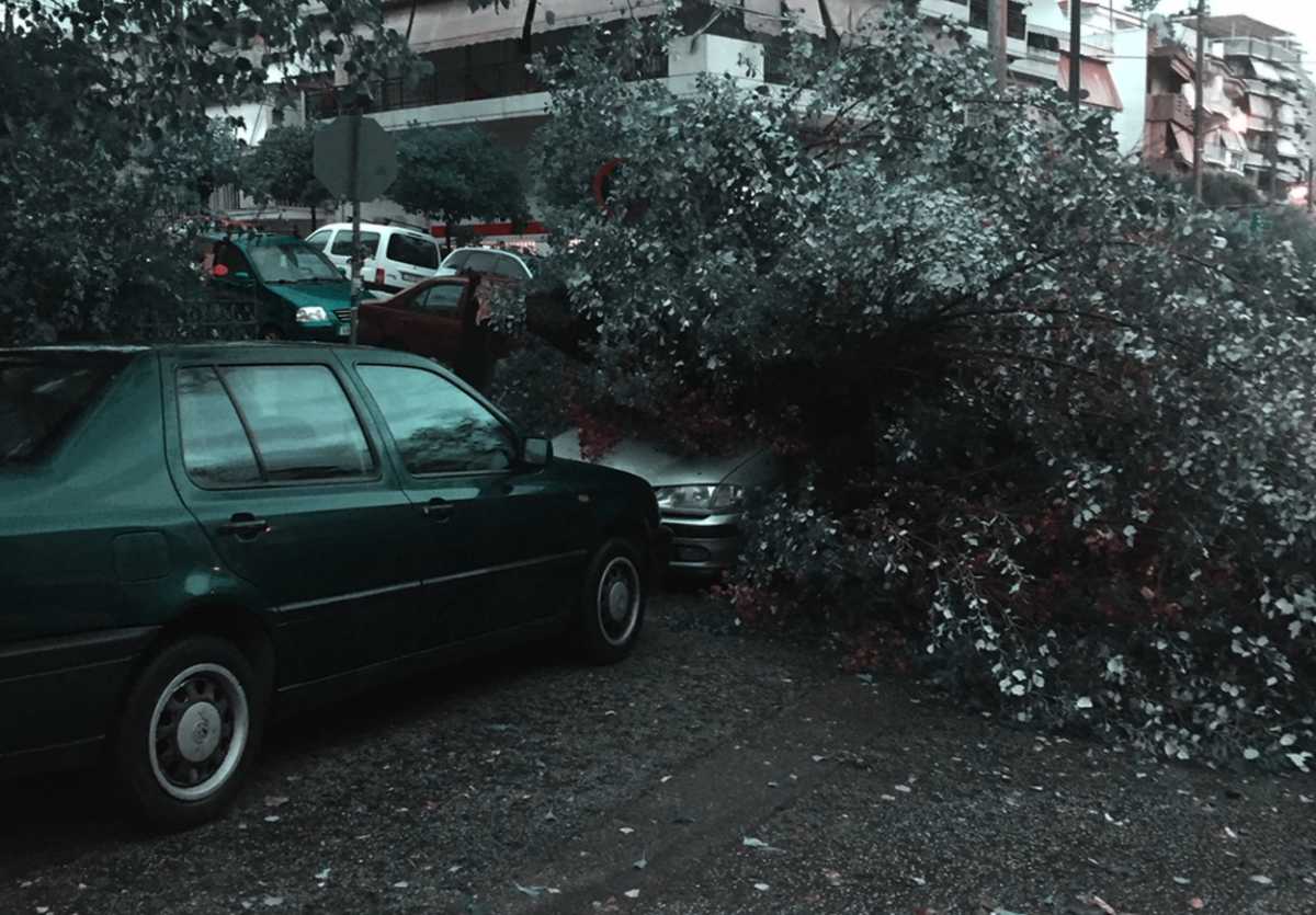 Απίστευτες καταστροφές από την κακοκαιρία στο Νέο Ηράκλειο! Ξηλώθηκαν σκεπές, δέντρα έπεσαν σε αυτοκίνητα