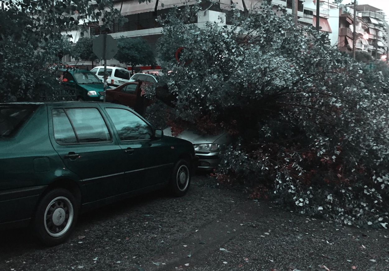 Απίστευτες καταστροφές από την κακοκαιρία στο Νέο Ηράκλειο! Ξηλώθηκαν σκεπές, δέντρα έπεσαν σε αυτοκίνητα