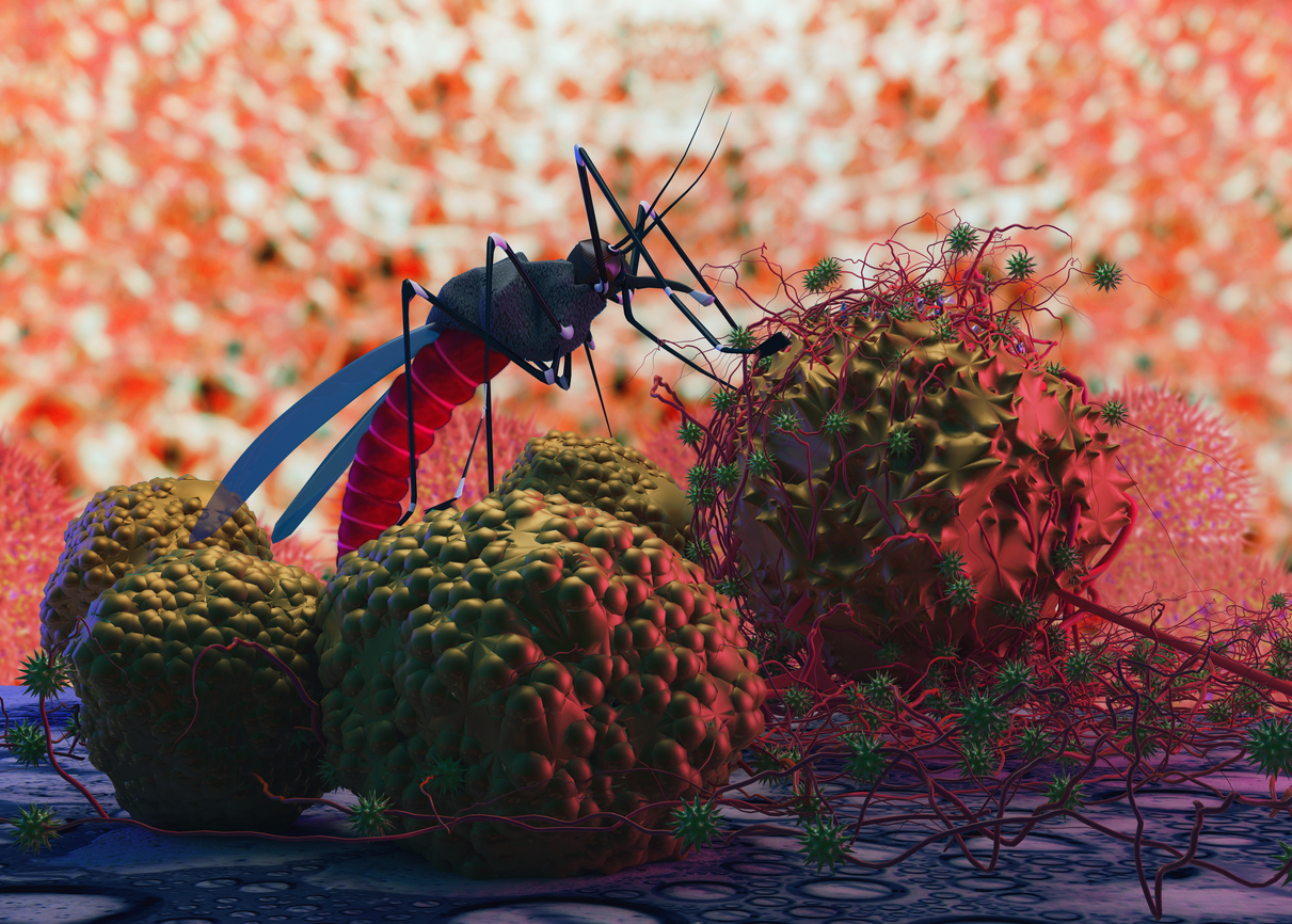 Κορονοϊός: Τι γίνεται με τα κουνούπια και την μεταδοτικότητα του ιού