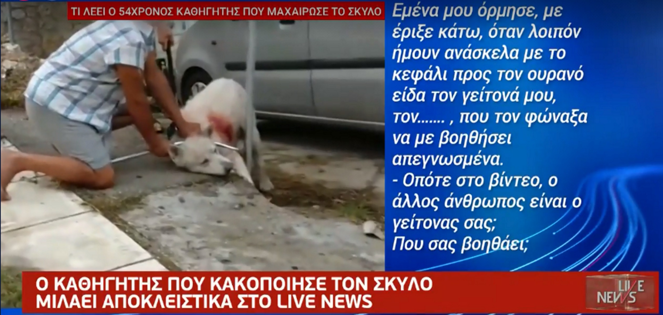 Αποκλειστικό “Live News”: Αμετανόητος ο καθηγητής που μαχαίρωσε σκύλο στη Νίκαια (video)