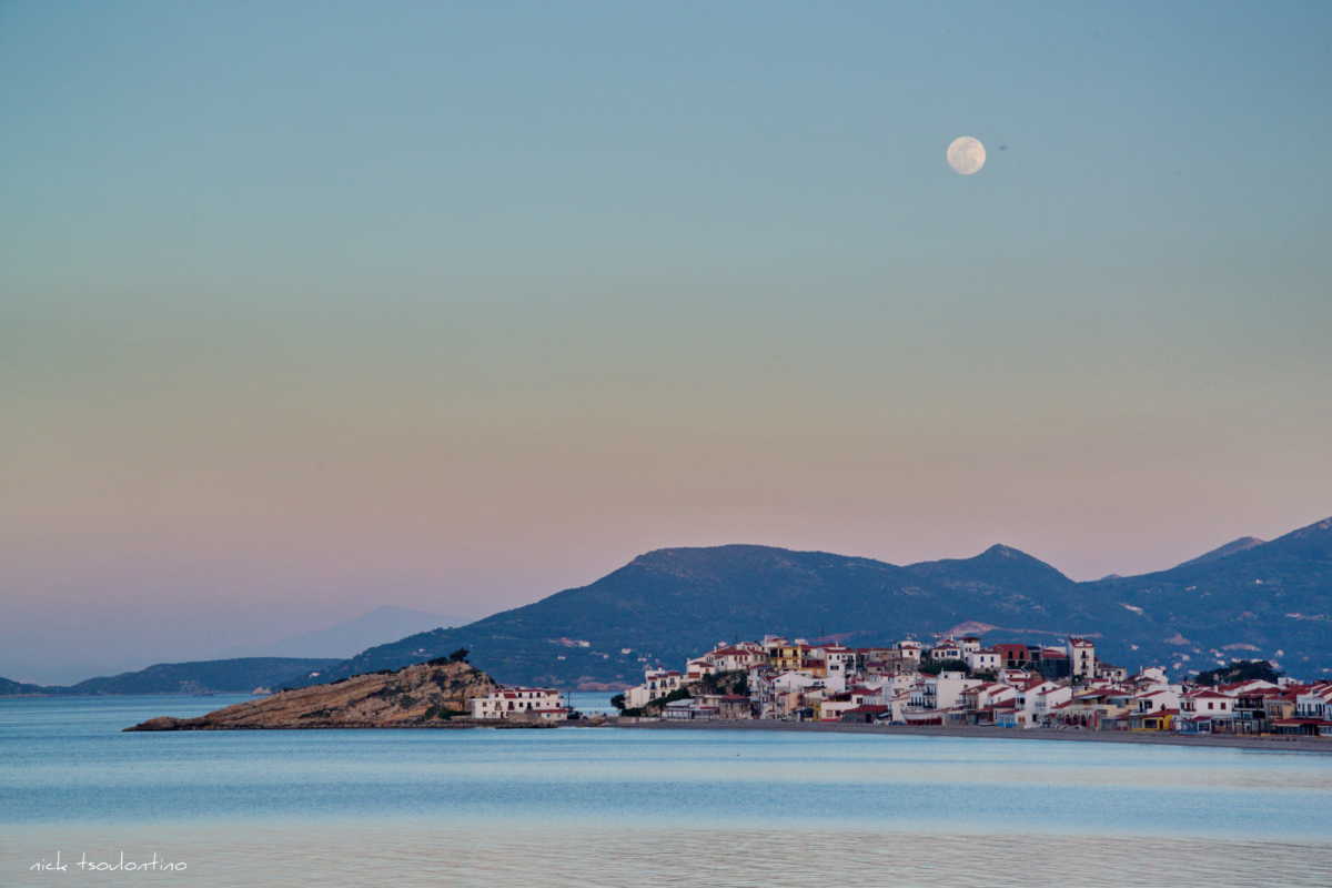 Νεκρή σπάνια φώκαινα στις νότιες ακτές της Σάμου