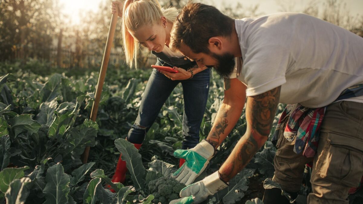Τα «πράσινα» επαγγέλματα που ανοίγουν τον δρόμο εργασίας του αύριο