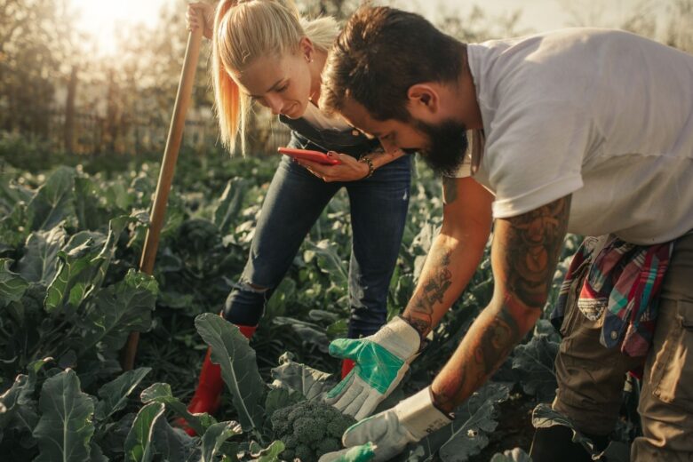 Τα «πράσινα» επαγγέλματα που ανοίγουν τον δρόμο εργασίας του αύριο