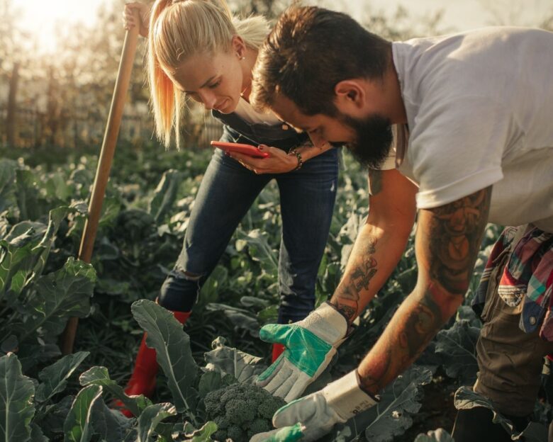 Τα «πράσινα» επαγγέλματα που ανοίγουν τον δρόμο εργασίας του αύριο