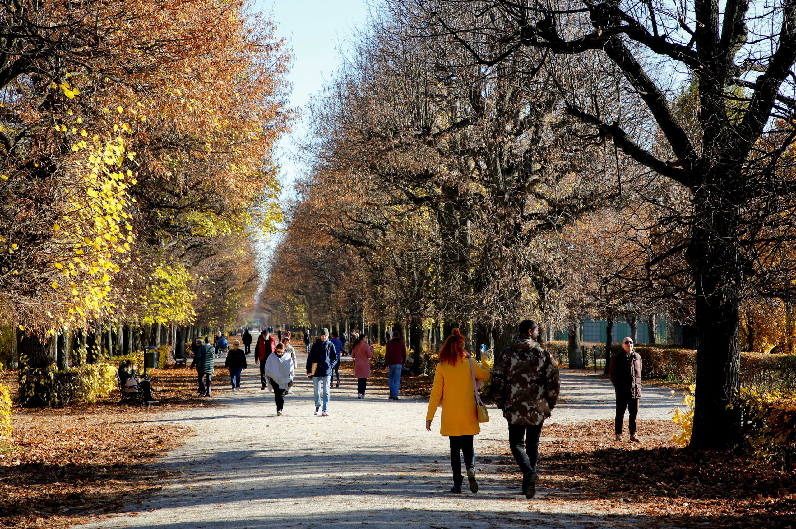 People enjoy a sunny day in a park after the Austrian government announced a lockdown, as the spread of the coronavirus disease (COVID-19) continues, in Vienna, Austria, November 18, 2020.  REUTERS