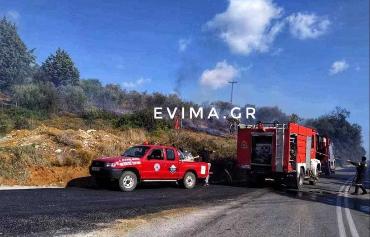 Εύβοια: Φωτιά κοντά σε κατοικημένη περιοχή! Μάχη με το χρόνο από πυροσβέστες και εθελοντές (Φωτό)