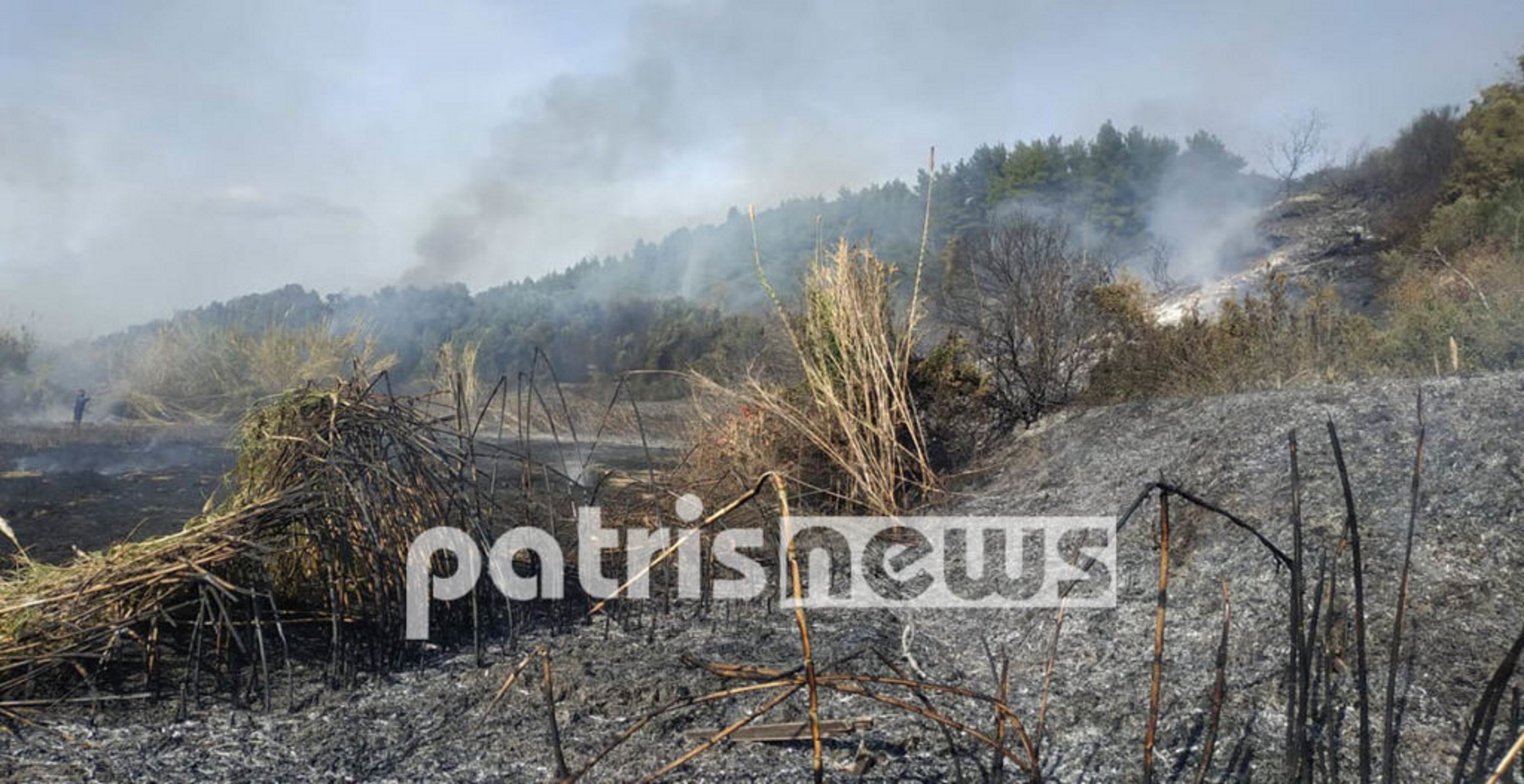 Φωτιά απείλησε σπίτια χωριού στην Ηλεία (pics, video)