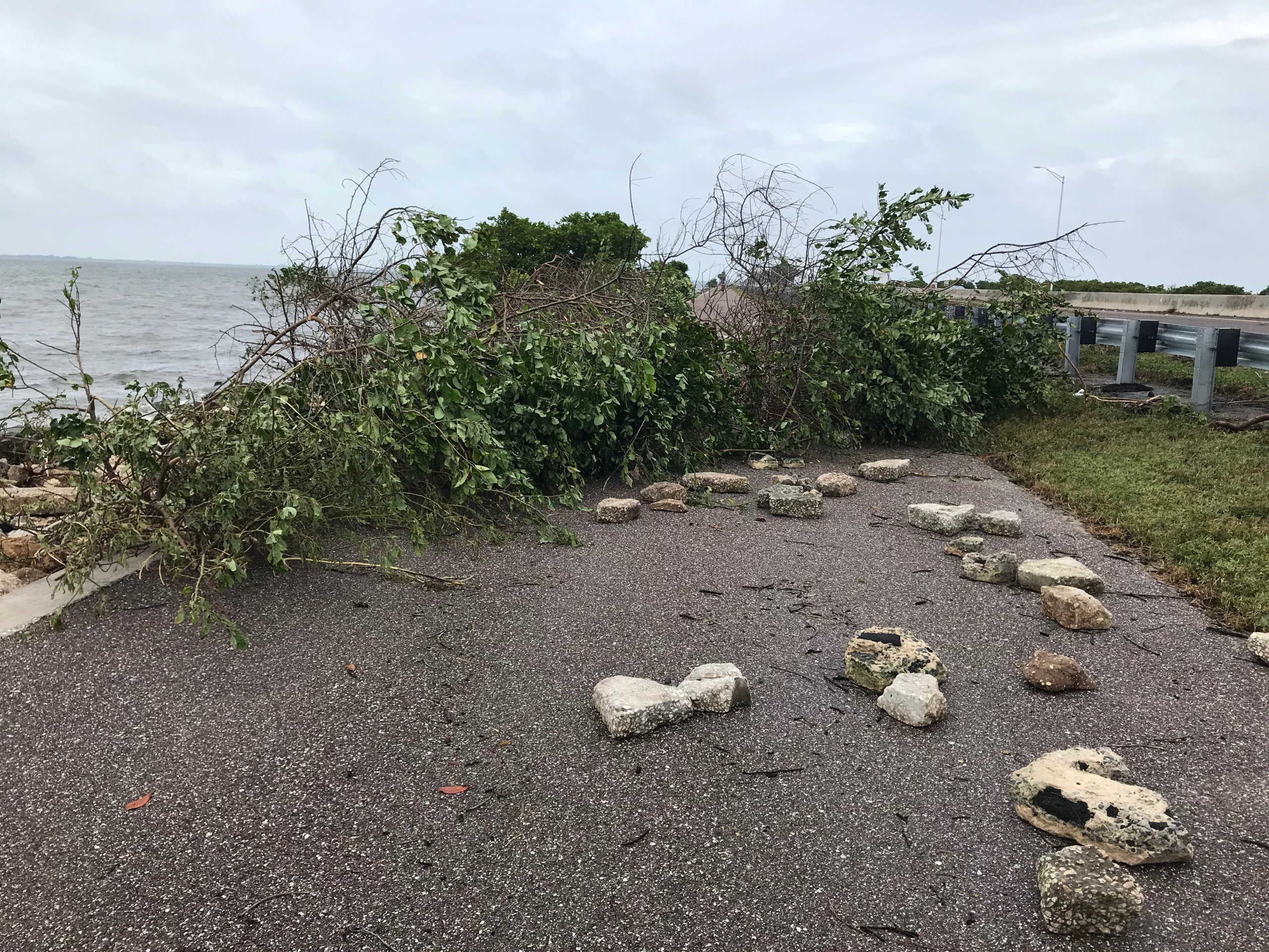 A fallen tree lies on the street following Tropical Storm Eta in Clearwater, Florida, U.S., November 12, 2020, in this picture obtained from social media. CLEARWATER POLICE DEPARTMENT