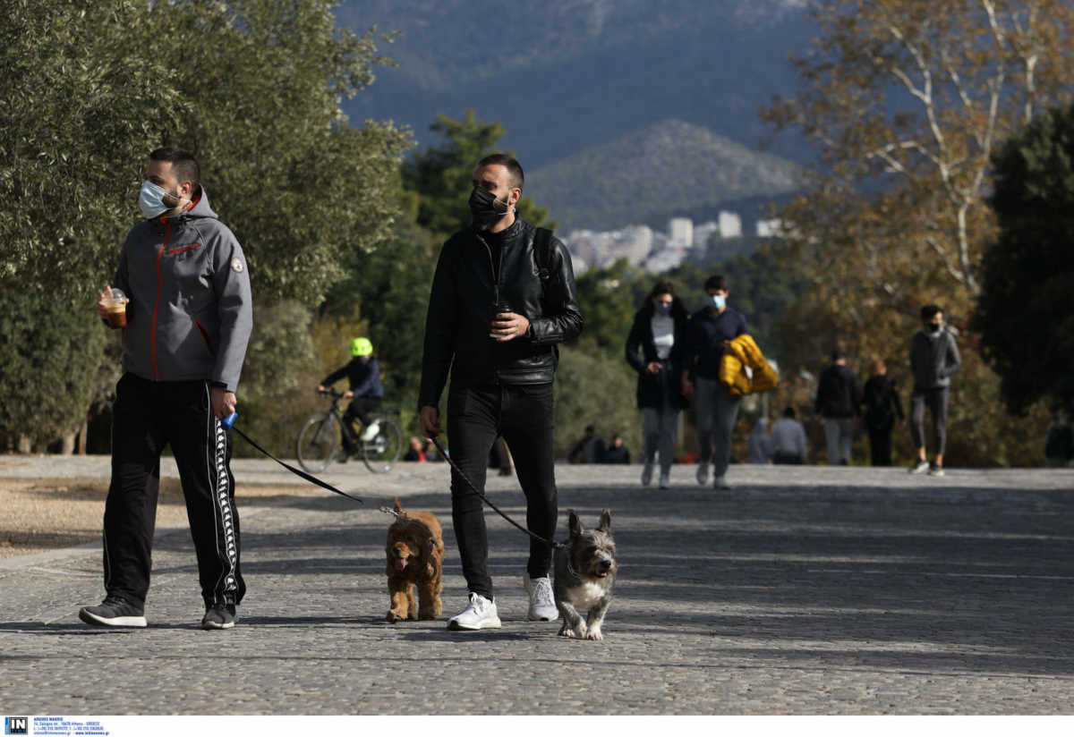 Κορονοϊός: Η καραντίνα έφερε αύξηση της φιλοζωίας