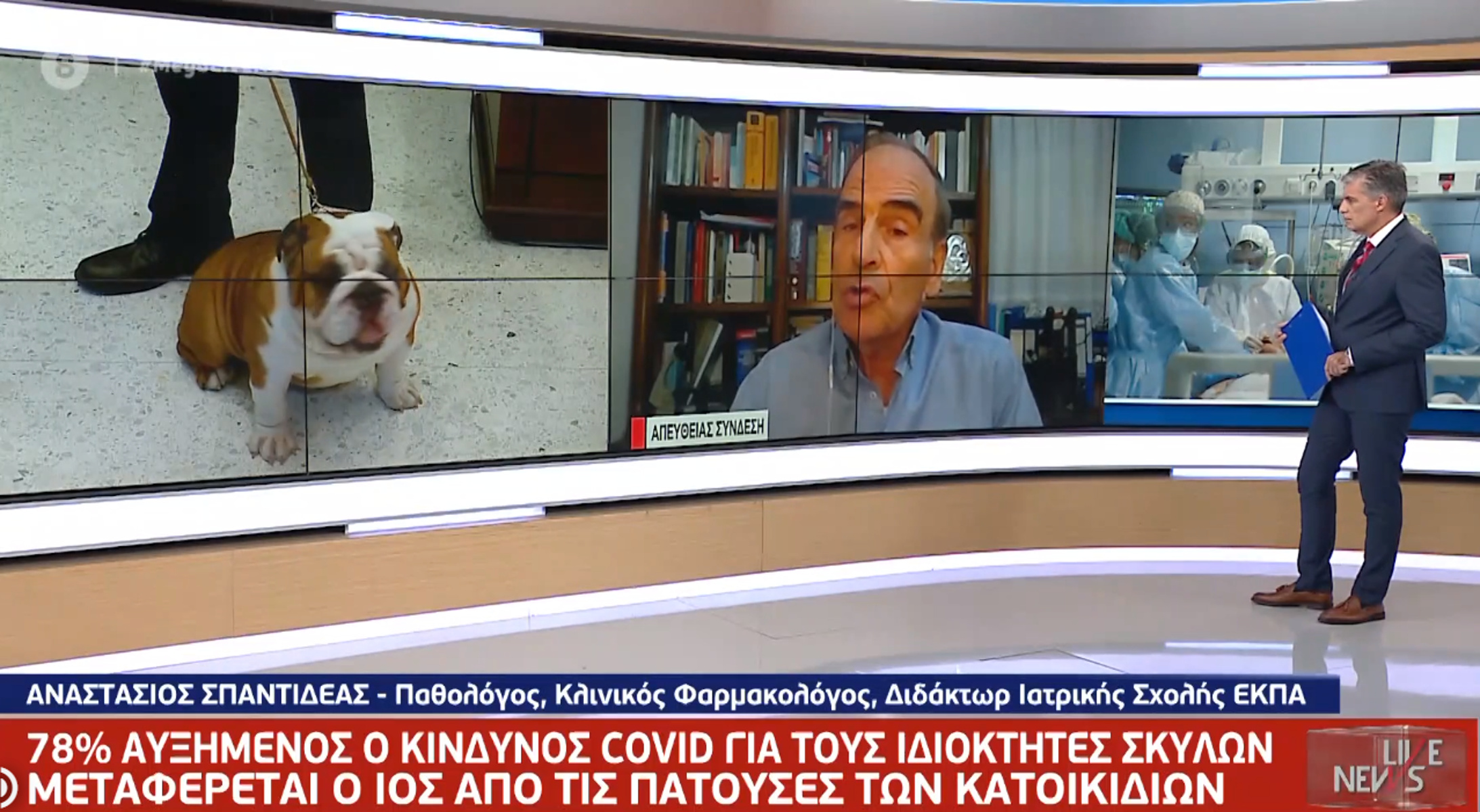 κατοικίδια κορονοϊός