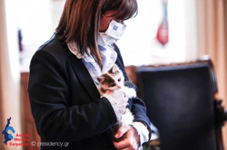 Η Κατερίνα Σακελλαροπούλου υιοθέτησε γατάκι από την Κάρπαθο