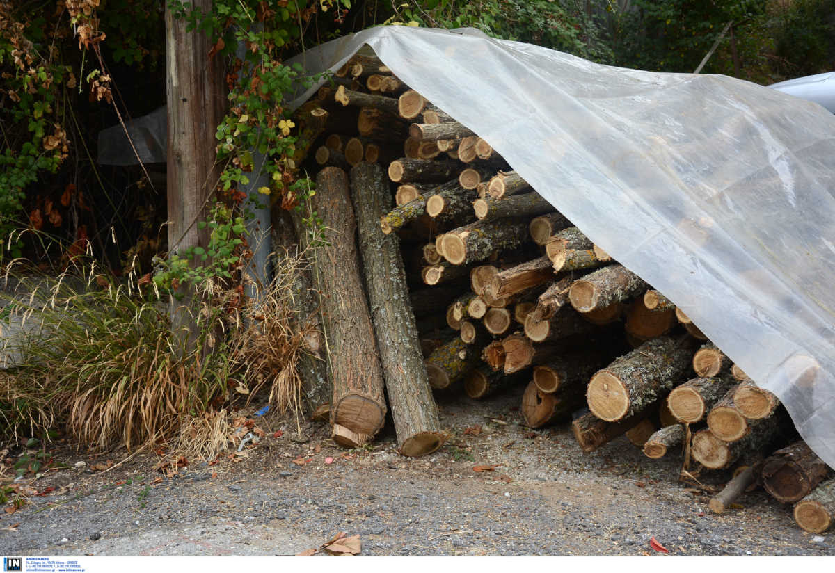 Γλυφάδα: Ο Δήμος δίνει δωρεάν ξύλα στους κατοίκους