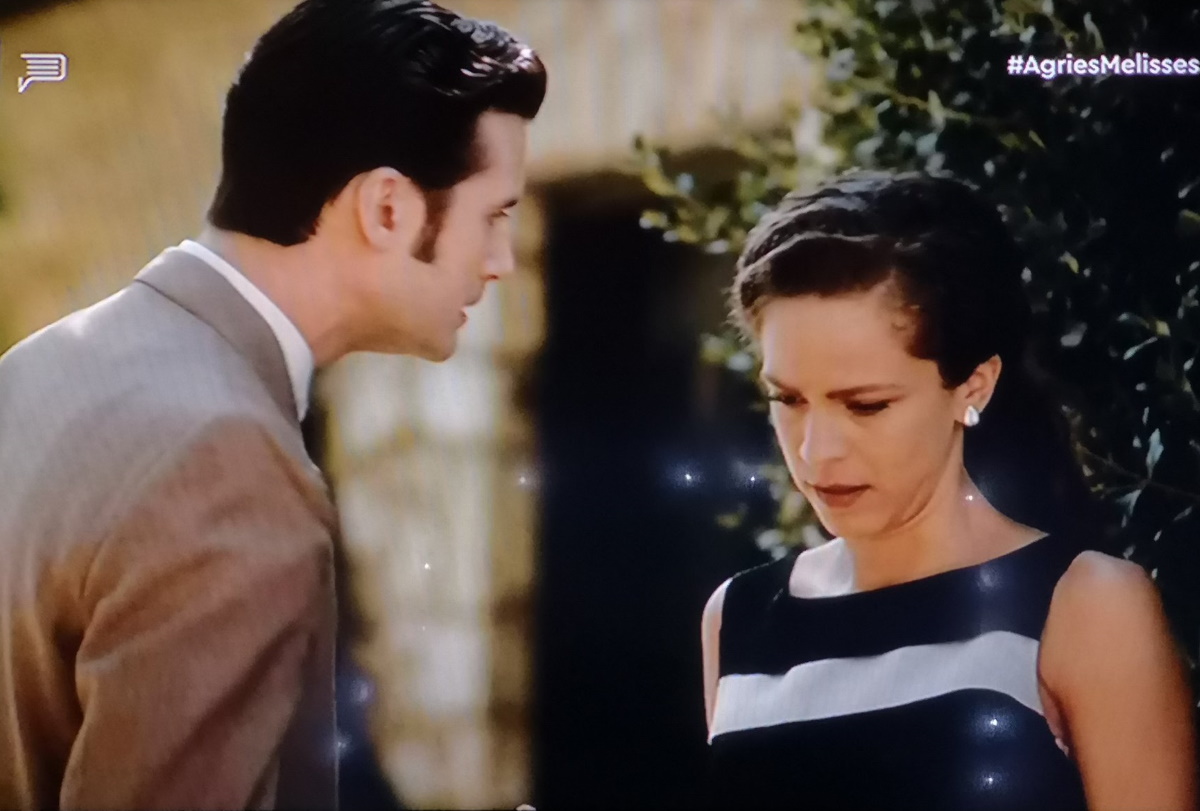 Άγριες Μέλισσες: “Γκάστρωσε τη αδελφή της και κάνει ζήλιες”; Τρελάθηκε το twitter, με τη ζήλια του Νικηφόρου!