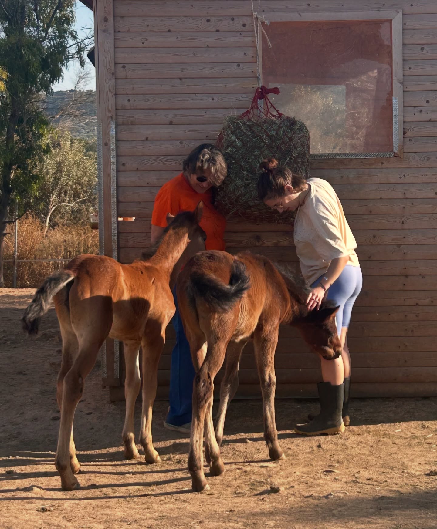 504142778_17929972899058854_451396296395950525_n