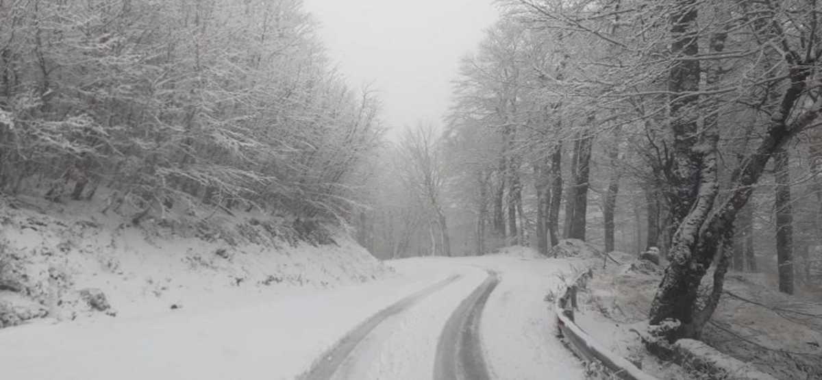 Στα λευκά η Ορεινή Ναυπακτία: Μαγικές, χριστουγεννιάτικες  εικόνες με χιονισμένα έλατα