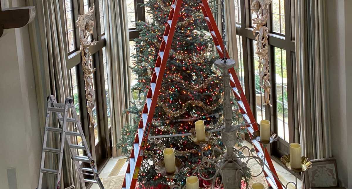 Το πανύψηλο χριστουγεννιάτικο δέντρο που έγινε viral (pics)