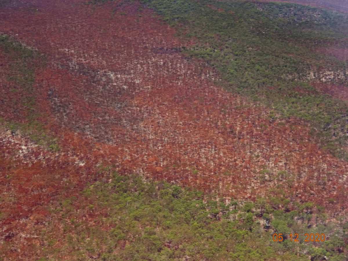Aerial view of an area affected by a bushfire on Fraser Island (K'gari), Queensland, Australia December 5, 2020 in this picture obtained from social media. Save Fraser Islands Dingoes Inc via REUTERS  THIS IMAGE HAS BEEN SUPPLIED BY A THIRD PARTY. MANDATORY CREDIT. NO RESALES. NO ARCHIVES.