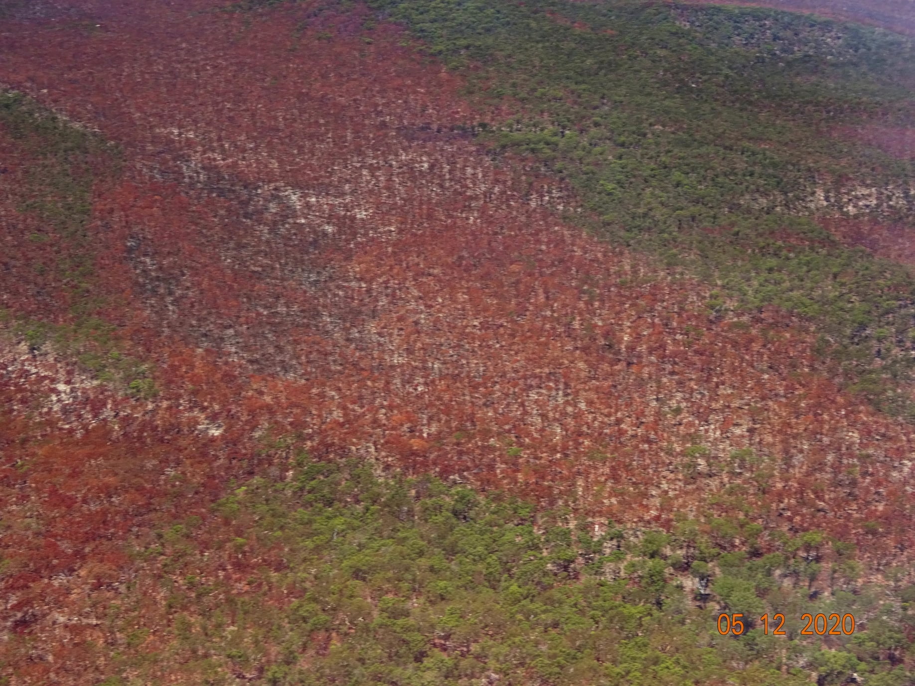 Aerial view of an area affected by a bushfire on Fraser Island (K'gari), Queensland, Australia December 5, 2020 in this picture obtained from social media. Save Fraser Islands Dingoes Inc via REUTERS  THIS IMAGE HAS BEEN SUPPLIED BY A THIRD PARTY. MANDATORY CREDIT. NO RESALES. NO ARCHIVES.