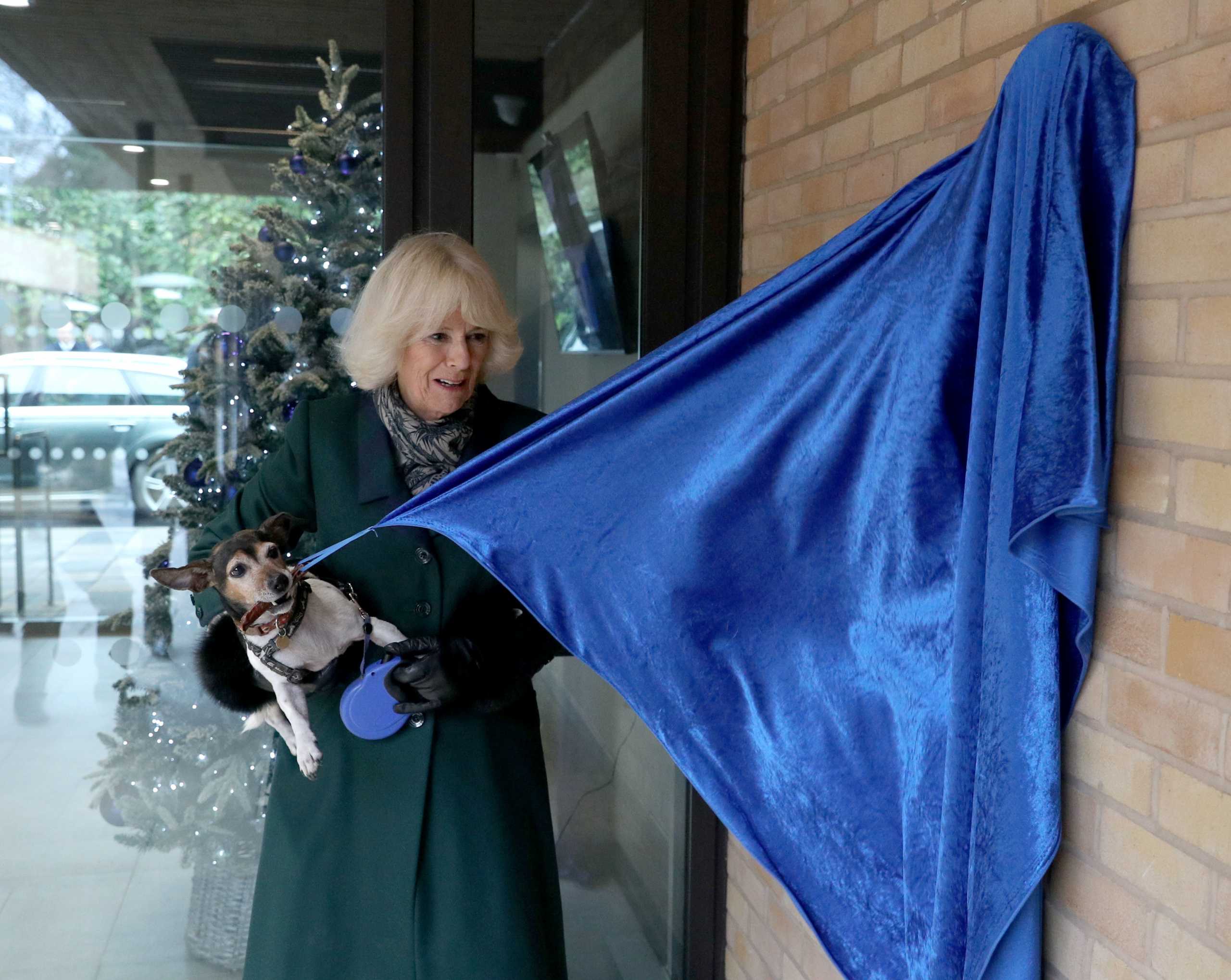 Britain's Camilla, Duchess of Cornwall holds Beth, her Jack Russell Terrier, during a visit at the Battersea Dogs and Cats Home, in London, Britain December 9, 2020.  Steve Parsons