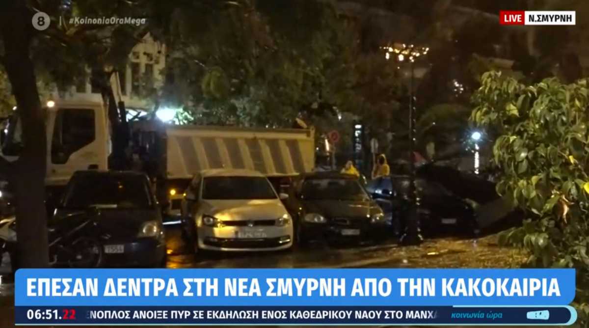 Καιρός: Πτώσεις δέντρων στη Νέα Σμύρνη, καταπλακώθηκαν αυτοκίνητα (video)