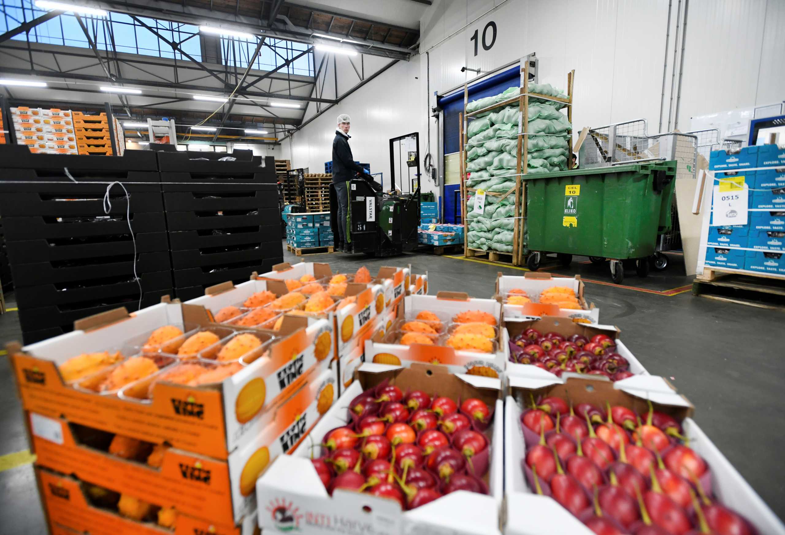A distribution worker move fruits and vegetables at distribution company Best Fresh Group ABC in Poeldijk, Netherlands December 21, 2020. Picture taken December 21, 2020. REUTERS