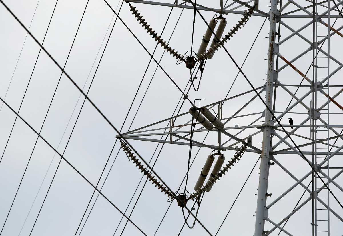 FILE PHOTO: A crow stands on a tower supporting electric power transmission lines which lead to Tokyo Electric Power Co.'s (TEPCO) Kohoku Substation in Yokohama, south of Tokyo, September 15, 2014. REUTERS