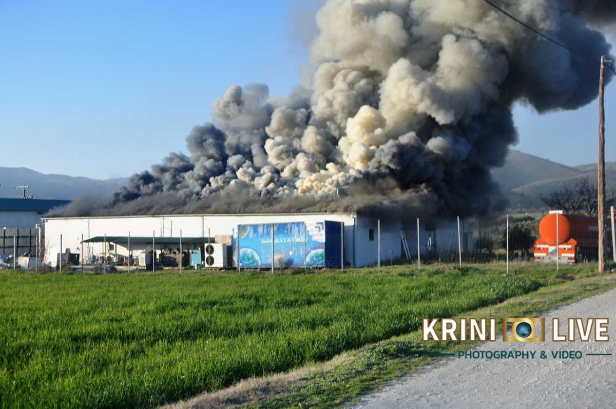 Τρίκαλα: Στάχτη το εργοστάσιο της εταιρείας «Υφαντής» – Νέες εικόνες από τη φωτιά που κατέστρεψε τα πάντα (video)